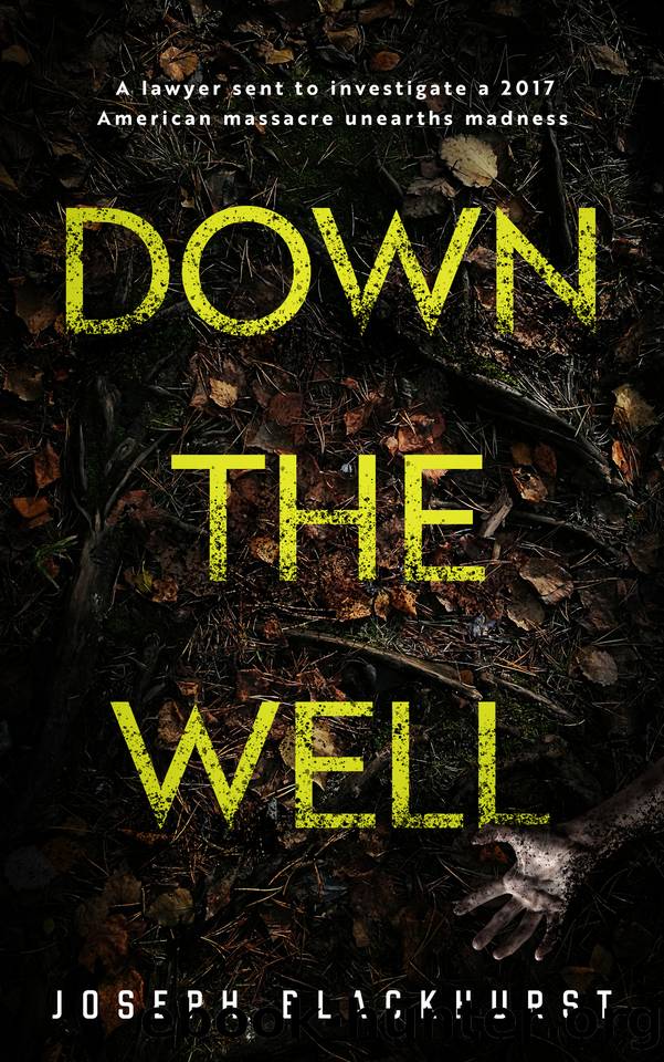 Down the Well by Joseph Blackhurst