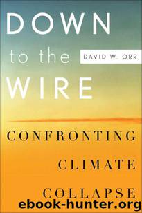 Down to the Wire by Orr David W