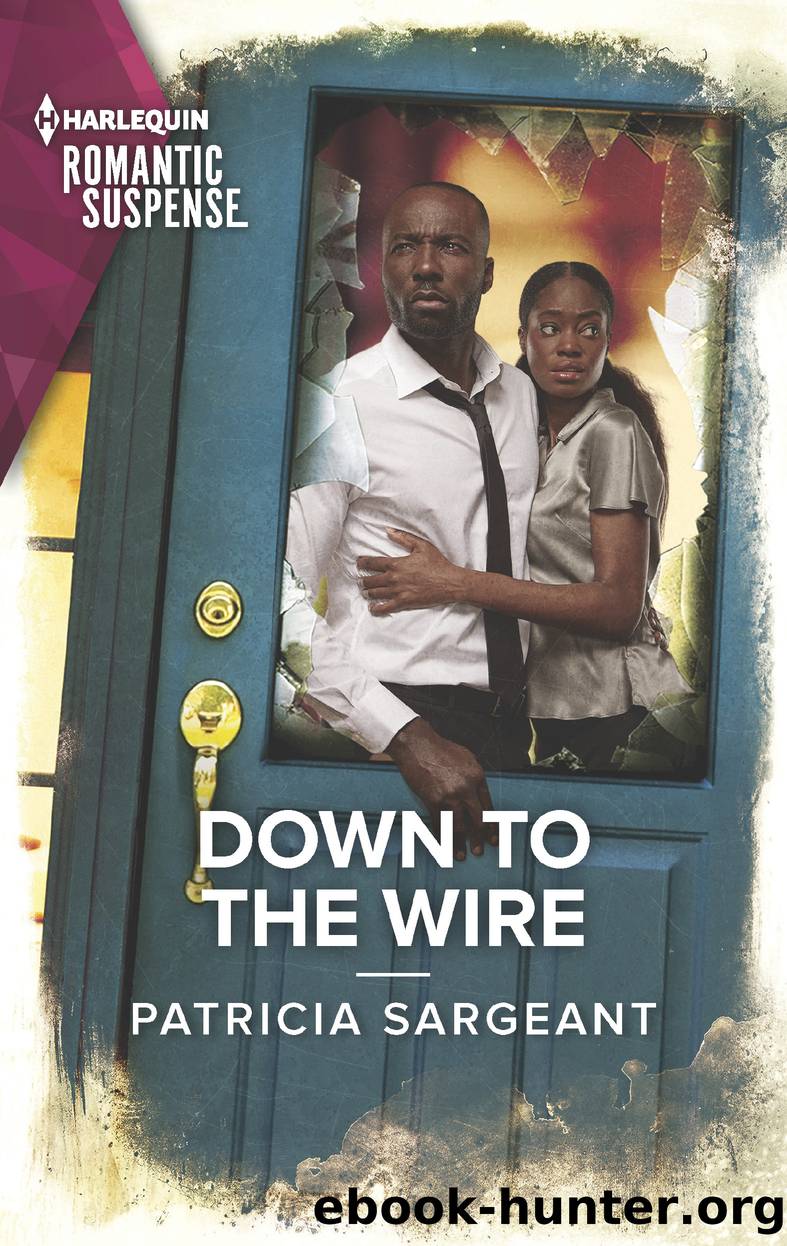 Down to the Wire by Patricia Sargeant