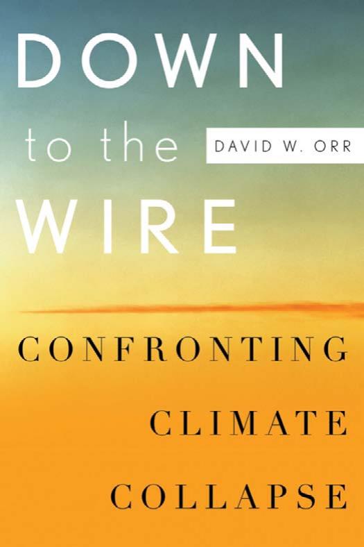 Down to the Wire: Confronting Climate Collapse by David W. Orr