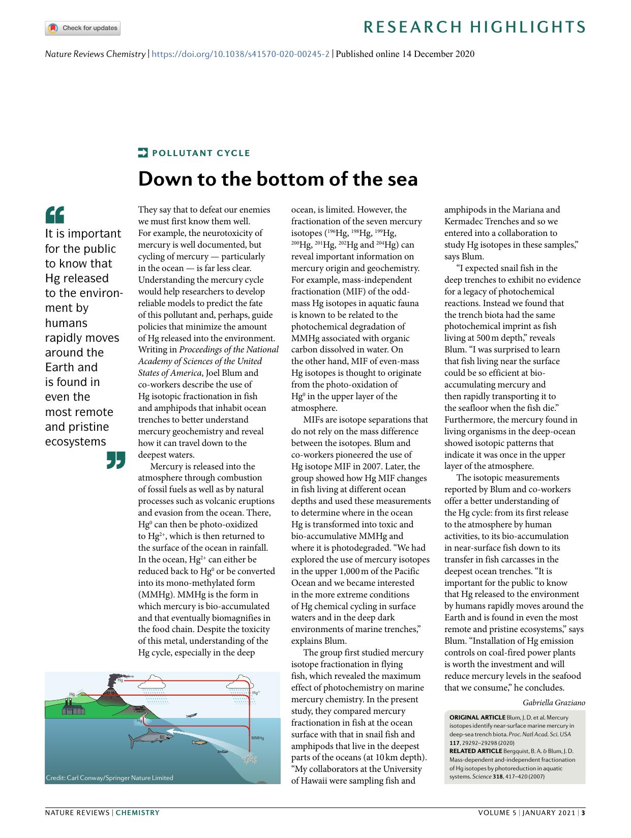 Down to the bottom of the sea by Gabriella Graziano