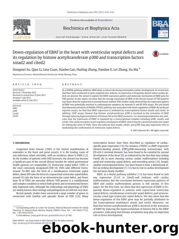 Down-regulation of EBAF in the heart with ventricular septal defects and its regulation by histone acetyltransferase p300 and transcription factors smad2 and cited2 by Dongmei Su & Qian Li & Lina Guan & Xiaobo Gao & Huiling Zhang & Dandan E & Lei Zhang & Xu Ma