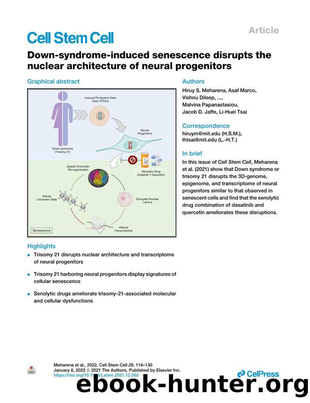 Down-syndrome-induced senescence disrupts the nuclear architecture of neural progenitors by unknow