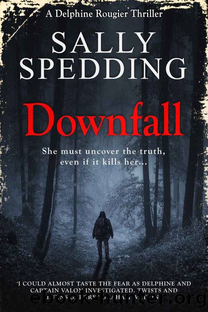 Downfall (Delphine Rougier Thriller) by Sally Spedding