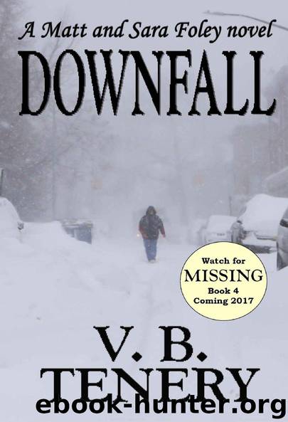 Downfall by V. B. Tenery