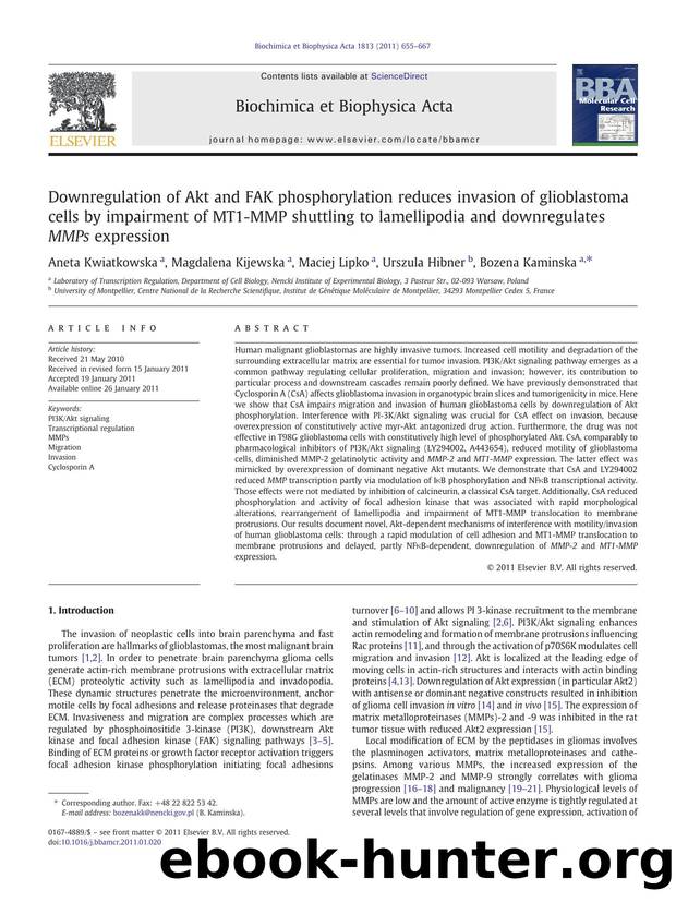 Downregulation of Akt and FAK phosphorylation reduces invasion of glioblastoma cells by impairment of MT1-MMP shuttling to lamellipodia and downregulates MMPs expression by Aneta Kwiatkowska