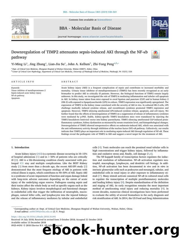 Downregulation of TIMP2 attenuates sepsis-induced AKI through the NF-Îºb pathway by Yi-Ming Li & Jing Zhang & Lian-Jiu Su & John A. Kellum & Zhi-Yong Peng