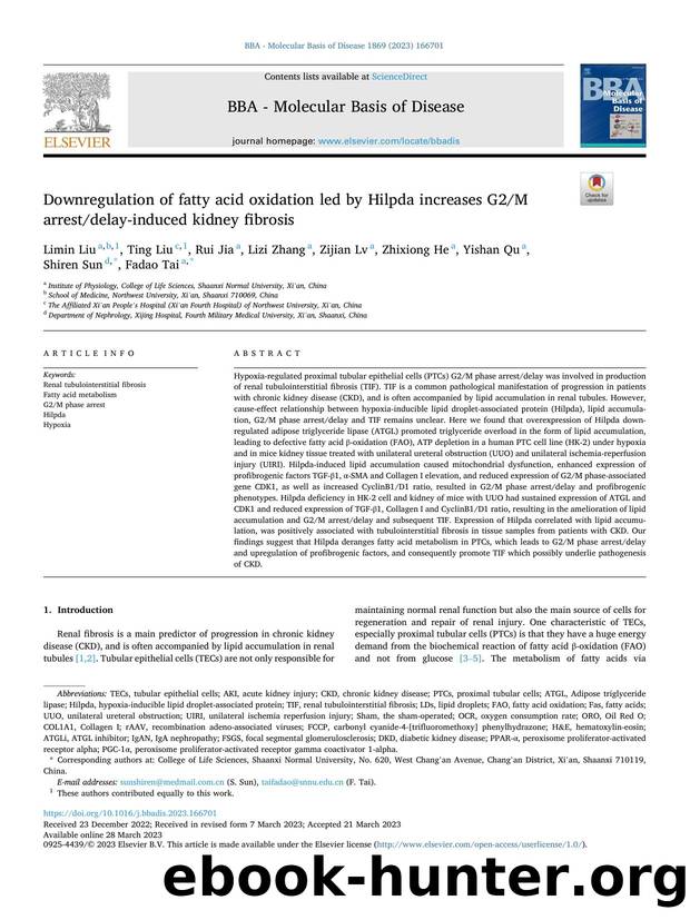 Downregulation of fatty acid oxidation led by Hilpda increases G2M arrestdelay-induced kidney fibrosis by unknow