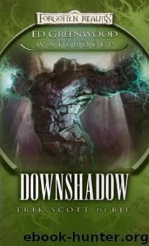 Downshadow by Erik Scott De Bie