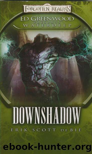 Downshadow by Erik Scott de Bie