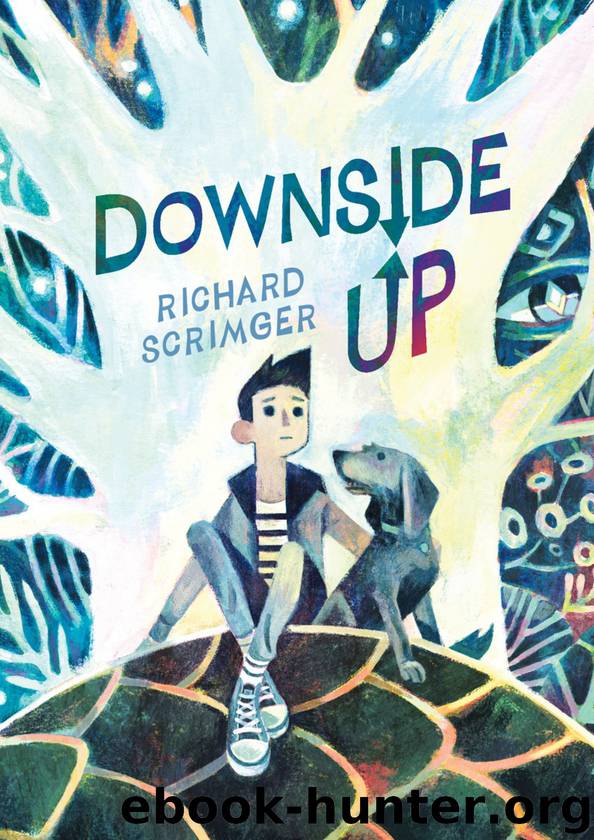 Downside Up by Richard Scrimger