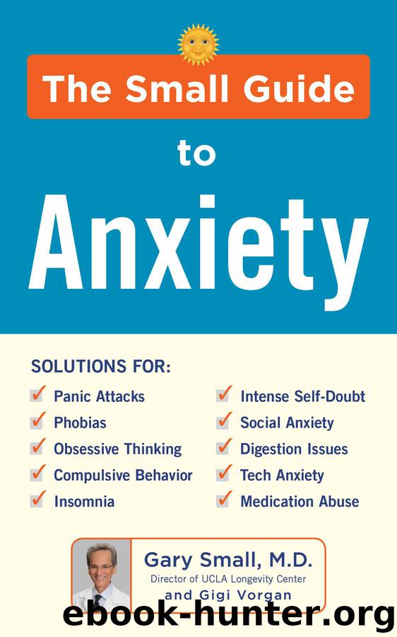 Dr. Small's Guide to Anxiety by Gary Small MD & Gigi Vorgan
