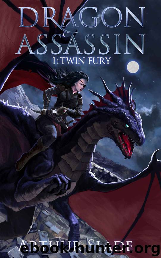 Dragon Assassin 1: Twin Fury by Arthur Slade