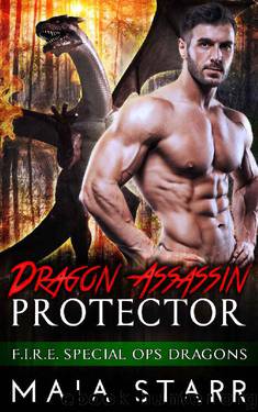 Dragon Assassin Protector by Maia Starr