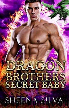 Dragon Brother's Secret Baby (Billionaire Dragon Shifter Brothers Book 2) by Sheena Silva