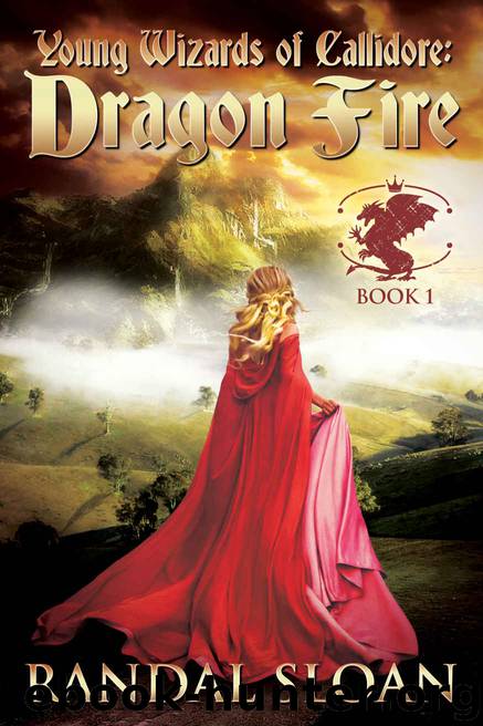 Dragon Fire by Randal Sloan