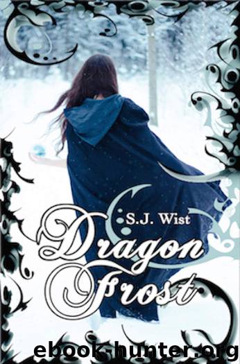 Dragon Frost by S. J. Wist