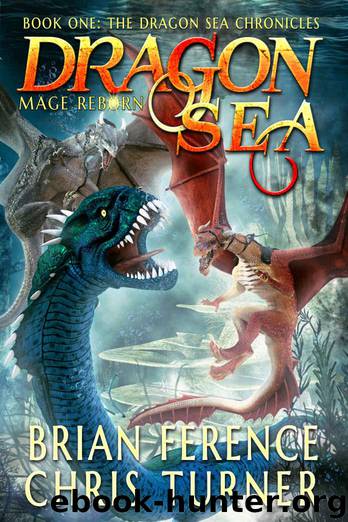 Dragon Sea- Mage Reborn by Brian Ference & Chris Turner