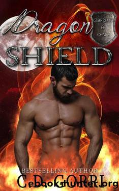 Dragon Shield (Guardians of Chaos Book 2) by C.D. Gorri