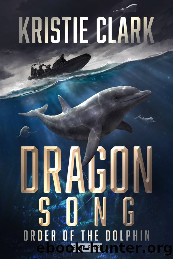 Dragon Song by Kristie Clark