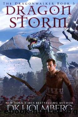 Dragon Storm by D. K. Holmberg