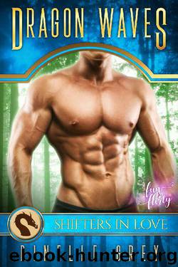 Dragon Waves: A Shifters in Love Fun & Flirty Romance (Dragon Island Hideaway Book 2) by Rinelle Grey & Shifters in Love