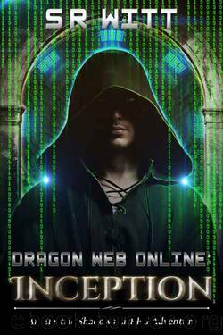 Dragon World Online: Inception: A LitRPG Adventure (Electric Shadows Book 1) by S R Witt