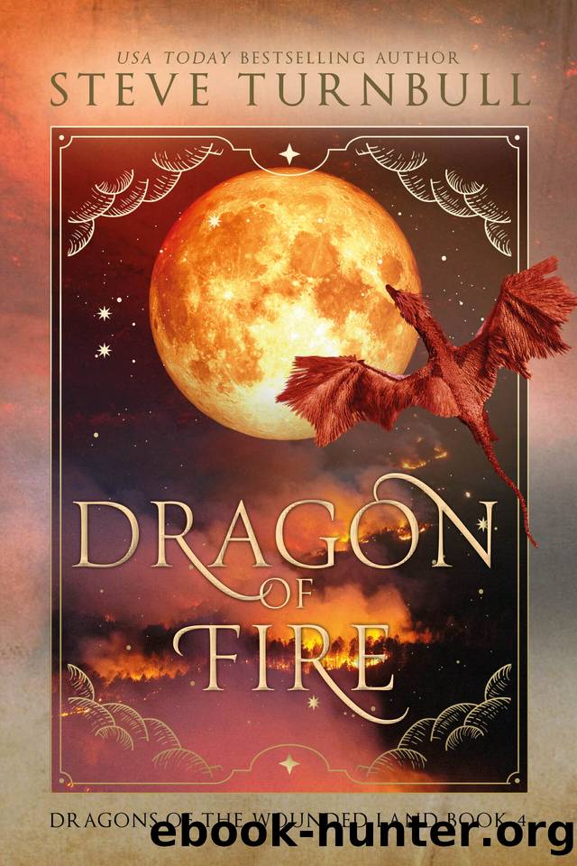 Dragon of Fire by Steve Turnbull