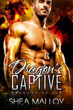 Dragon's Captive: Dragons of Rur by Shea Malloy