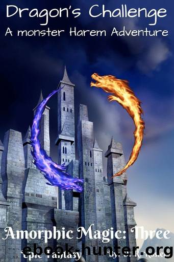 Dragon's Challenge by D. R. Rosier