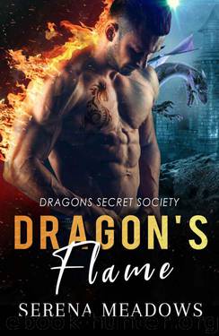 Dragon's Flame (Dragons Secret Society Book 3) by Serena Meadows
