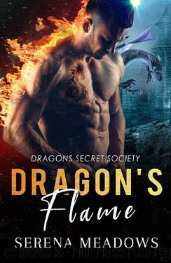 Dragon's Flame: Dragons Secret Society by Serena Meadows