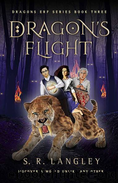 Dragon's Flight by S. R. Langley