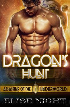 Dragon's Hunt by Elise Night