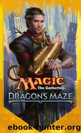 Dragon's Maze by Doug Beyer