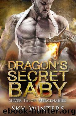 Dragon's Secret Baby (Silver Dragon Mercenaries Book 1) by Sky Winters