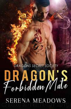 Dragon’s Forbidden Mate (Dragons Secret Society Book 2) by Serena Meadows