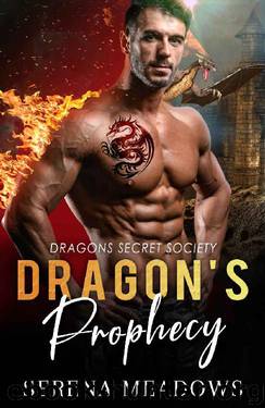 Dragon’s Prophecy: Dragons Secret Society by Serena Meadows