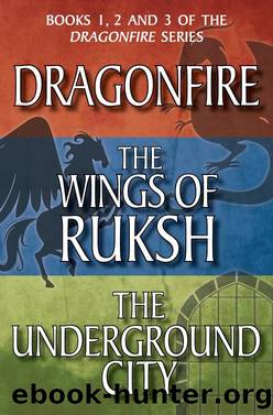 Dragonfire Series Books 1-3 by Anne Forbes