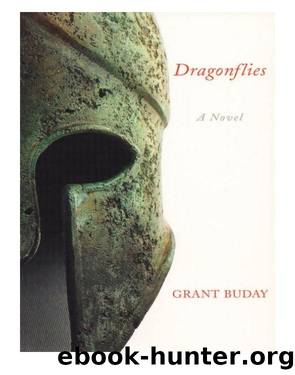 Dragonflies by Grant Buday