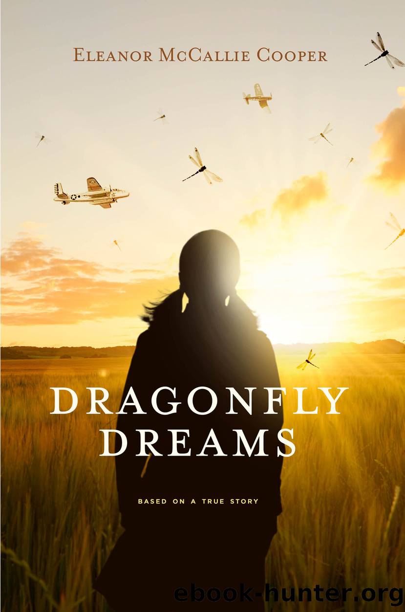 Dragonfly Dreams by Eleanor McCallie Cooper