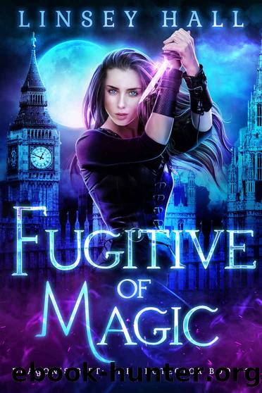 Dragons Gift Protector 01 - Fugitive of Magic by Linsey Hall