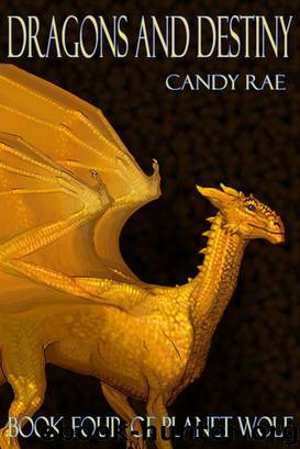 Dragons and Destiny by Candy Rae