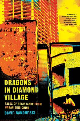 Dragons in Diamond Village by David Bandurski