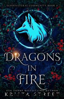 Dragons in Fire by Street Krista