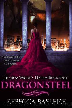 Dragonsteel: Shadowsword's Harem (Book One) (Reverse Harem Urban Fantasy Romance) by Rebecca Baelfire