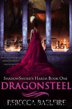 Dragonsteel_Reverse Harem Urban Fantasy Romance by Rebecca Baelfire