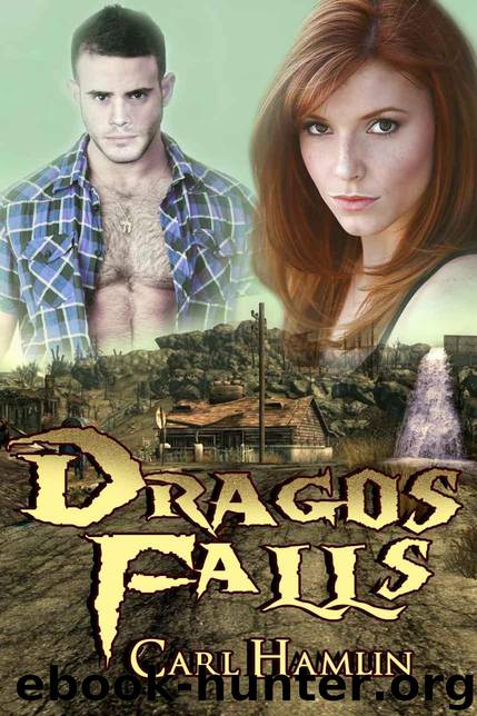 Dragos Falls by Carl Hamlin