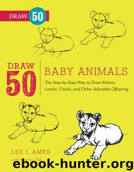 Draw 50 Baby Animals