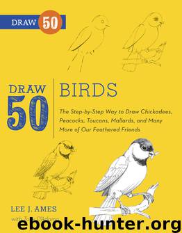 Draw 50 Birds by Lee J. Ames